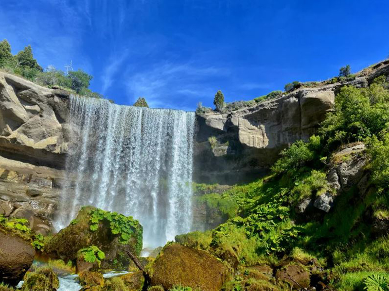 El Bolson con Campo de Tulipanes